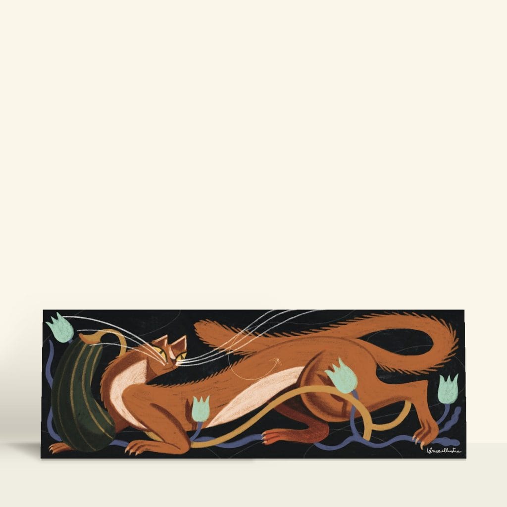 Gato Naranja 14x42